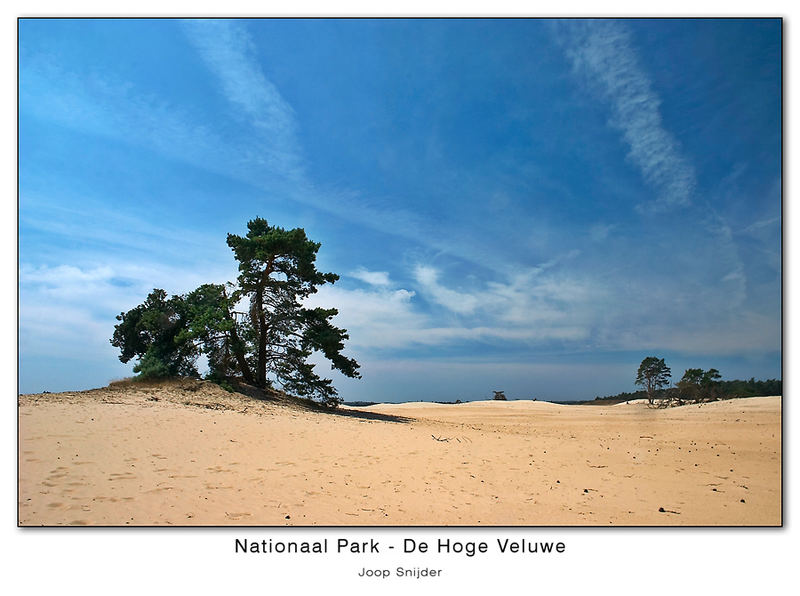 National Park - De Hoge Veluwe