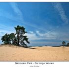 National Park - De Hoge Veluwe