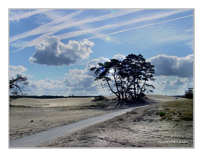 National Park De Hoge Veluwe (near Arnhem)