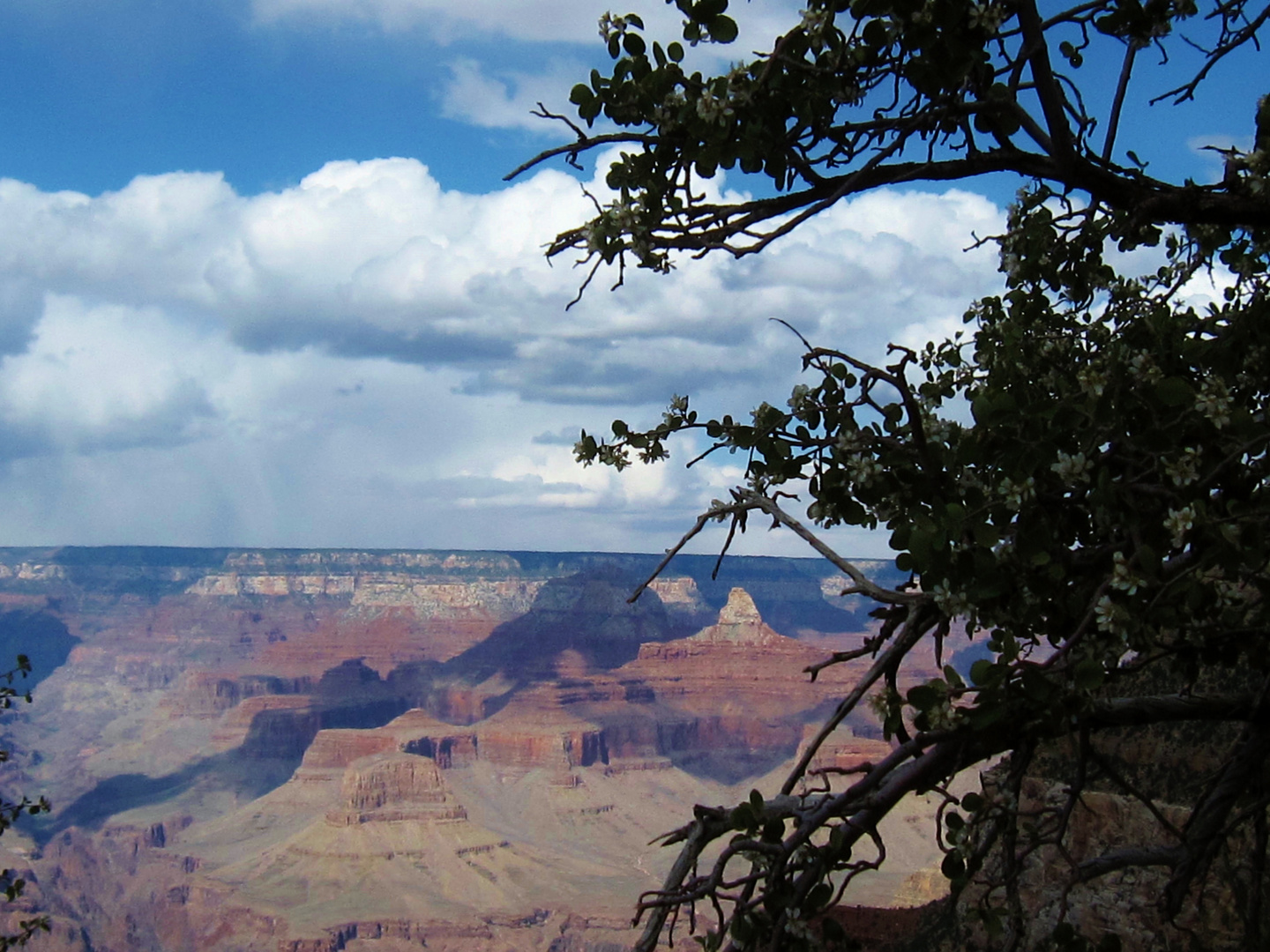 National park in Arizona Grand Canyon National Park.