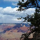 National park in Arizona Grand Canyon National Park.