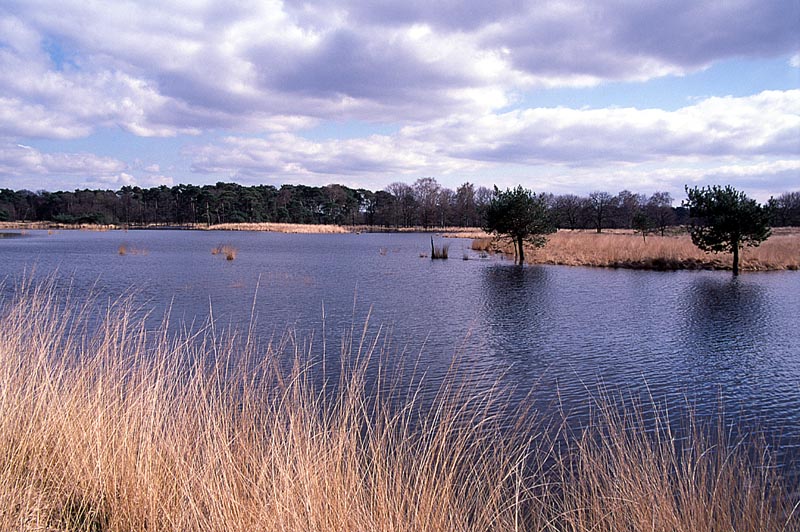 National Park Kampina