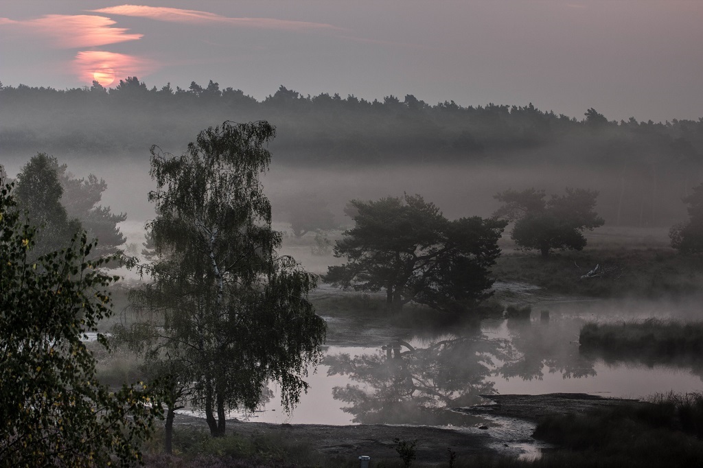 National Park Maasduinen Niederlande