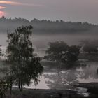 National Park Maasduinen Niederlande