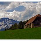 National Park - "Oetscher - Mountain"