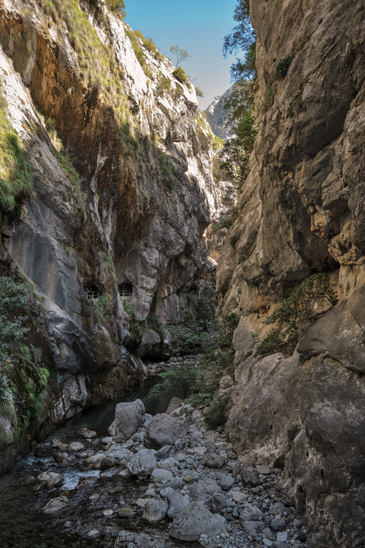 National Park Picos de Europa