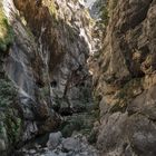 National Park Picos de Europa