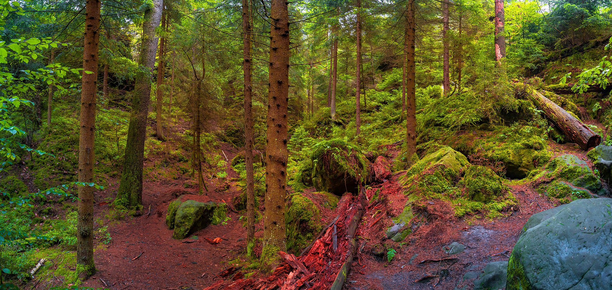 National park Saxon Switzerland, Saxony, Germany