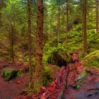 National park Saxon Switzerland, Saxony, Germany