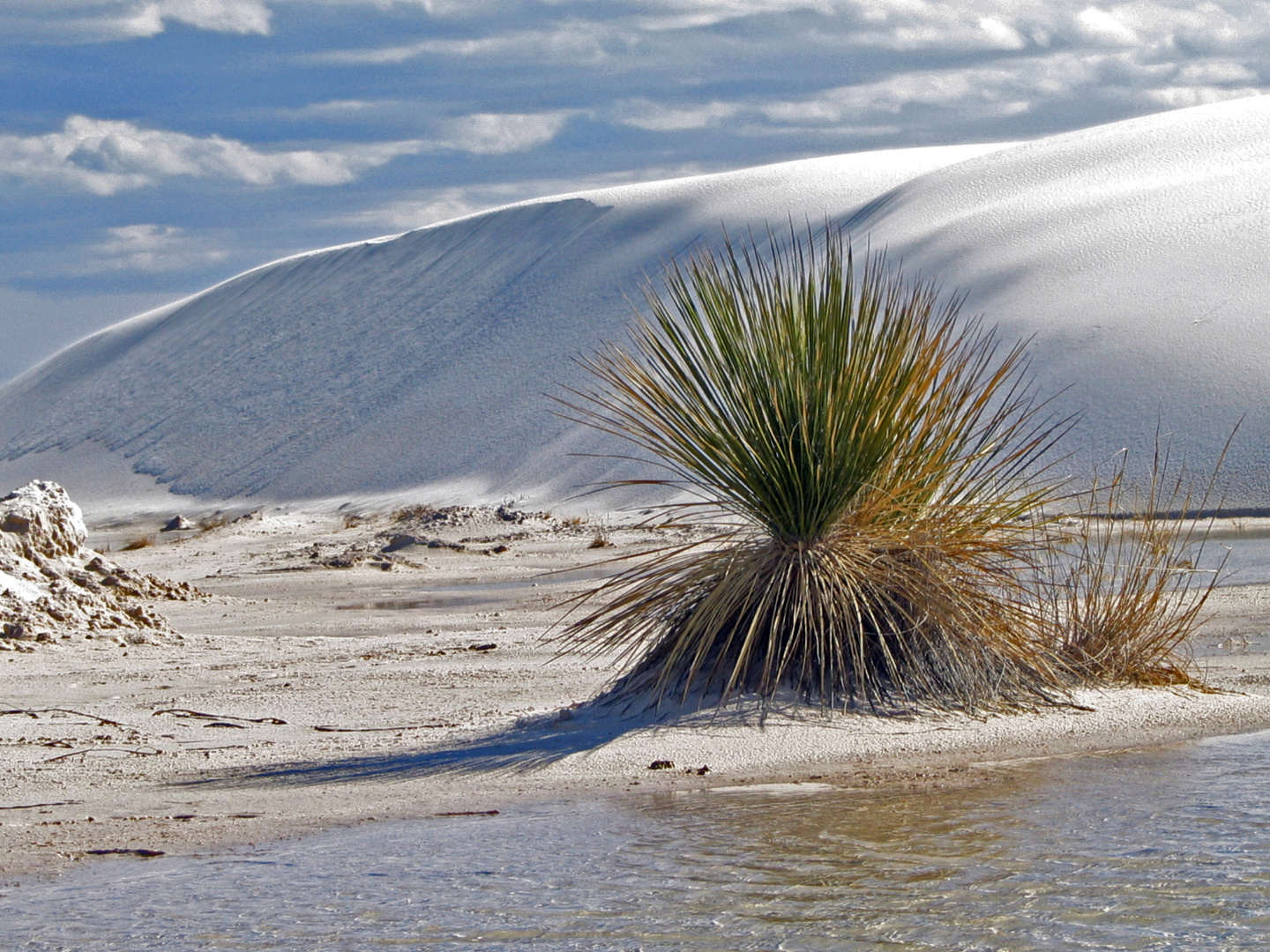 National Park Wihite Sands, USA