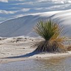 National Park Wihite Sands, USA