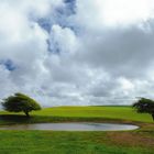 National Trust - Ditchling Beacon