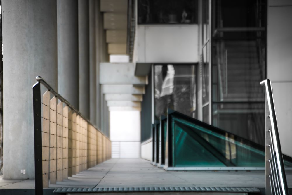 Dissertation meaning image