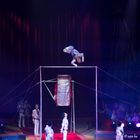 Nationalcircus Pjöngjang 1