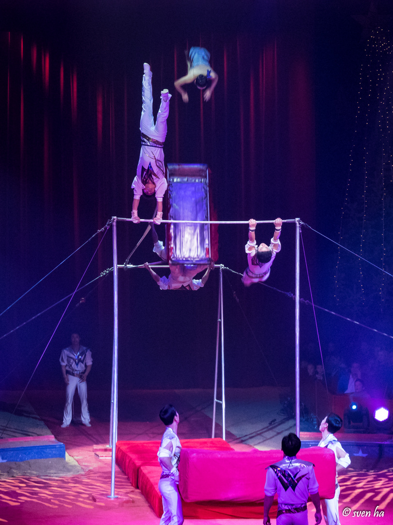 Nationalcircus Pjöngjang 2