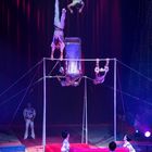 Nationalcircus Pjöngjang 2