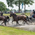 Nationales Fahrturnier PSG Lähden