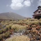 Nationalpark am Teide