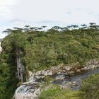 Nationalpark Aparados da Serra - Cânion Itaimbezinho