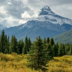 Nationalpark Banff