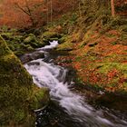 Nationalpark Bayerischer Wald