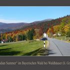 Nationalpark Bayerischer Wald