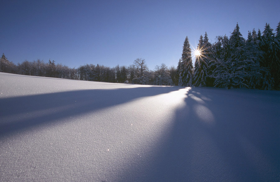 Nationalpark Bayerischer Wald - Wintermorgen auf dem Lindberger Schachten