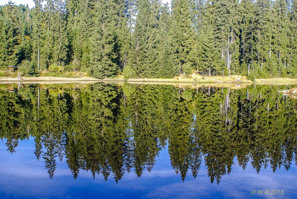 Nationalpark Bayrischer Wald