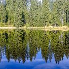 Nationalpark Bayrischer Wald