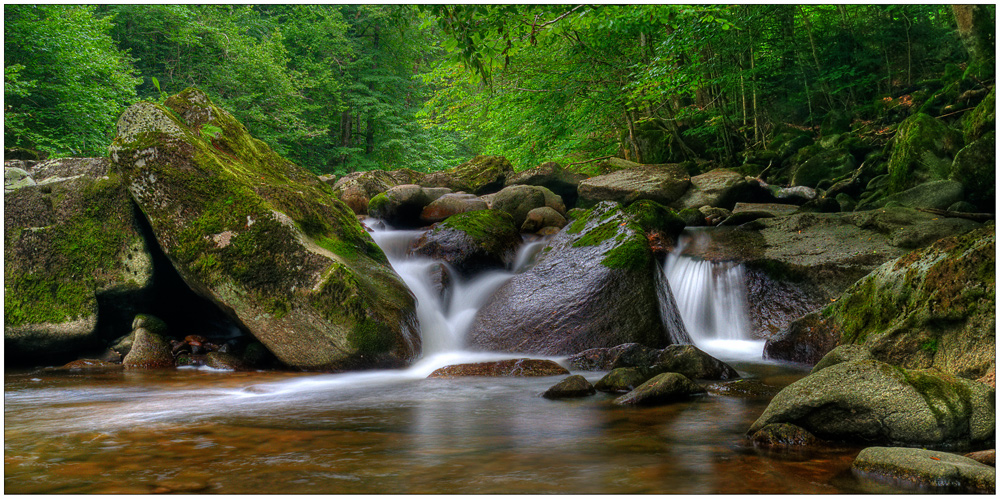 Nationalpark Bayrischer Wald 3