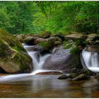 Nationalpark Bayrischer Wald 3