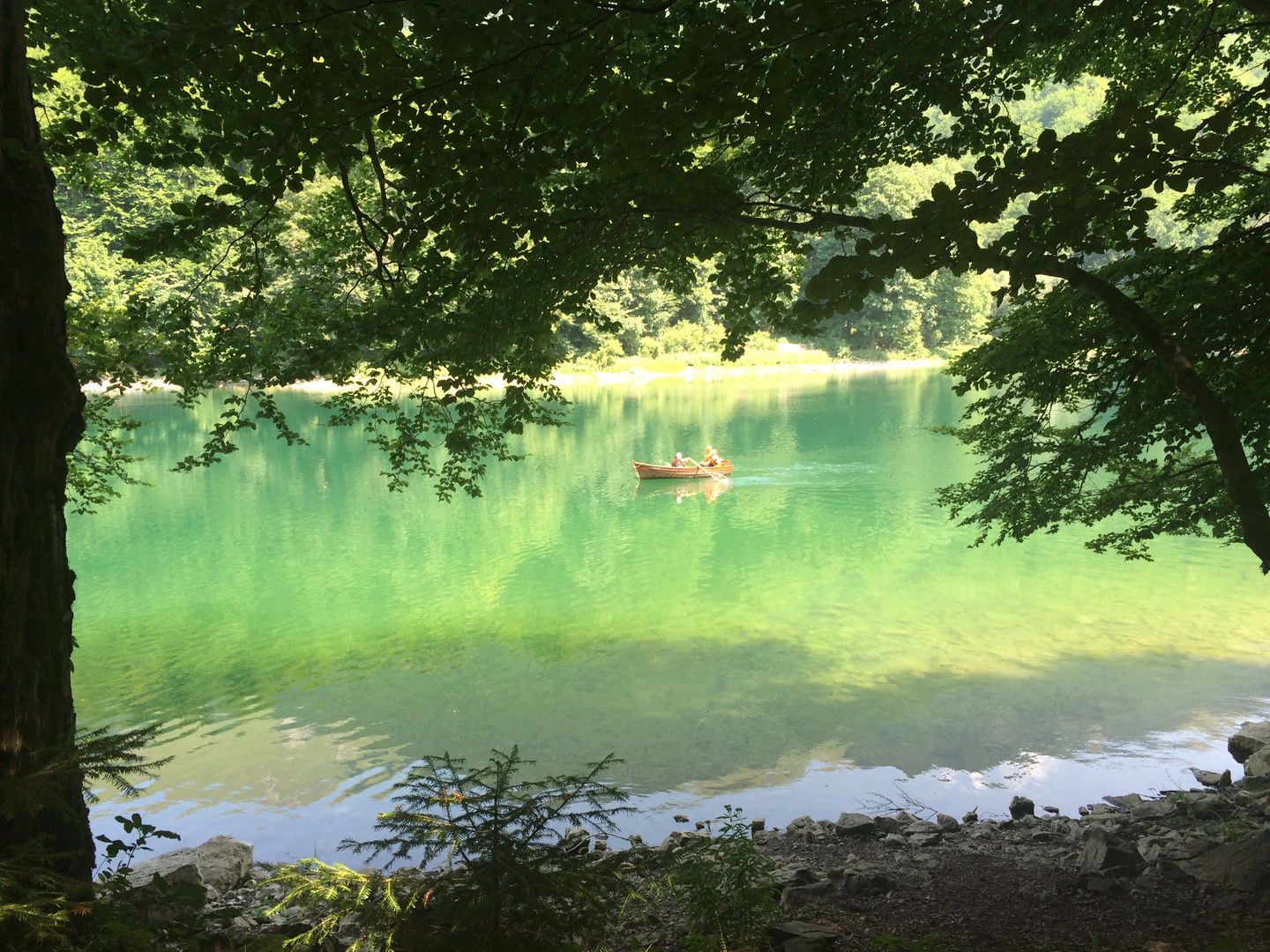 Nationalpark Biogradsko Jezero Montenegro