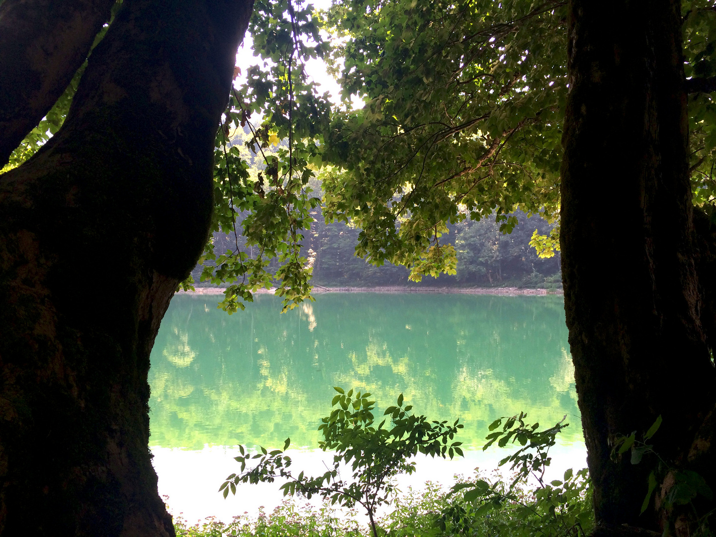 Nationalpark Biogradsko Jezero / Montenegro