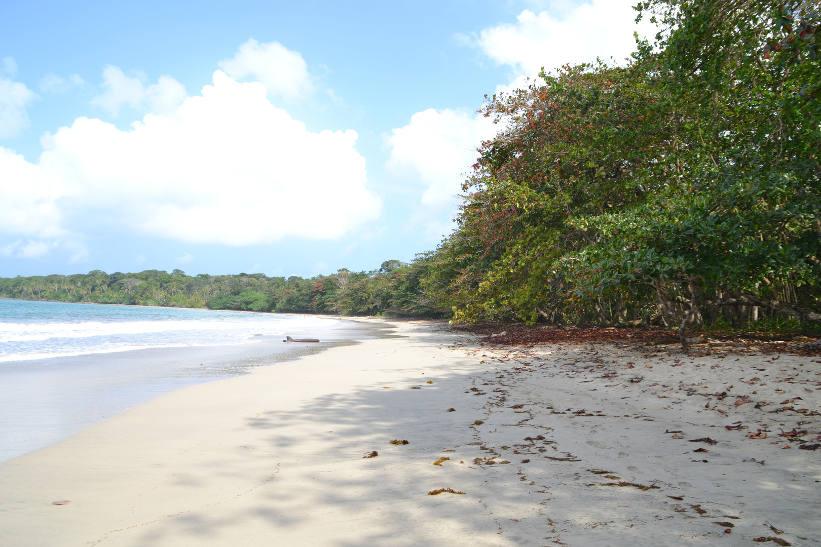 Nationalpark Cahuita