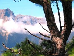 Nationalpark Caldera de Taburiente