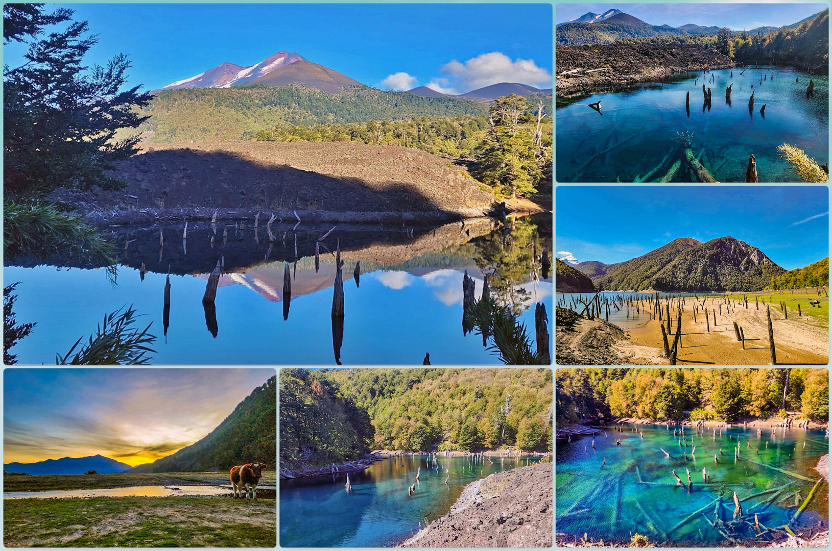 Nationalpark Conguillio, Laguna Verde