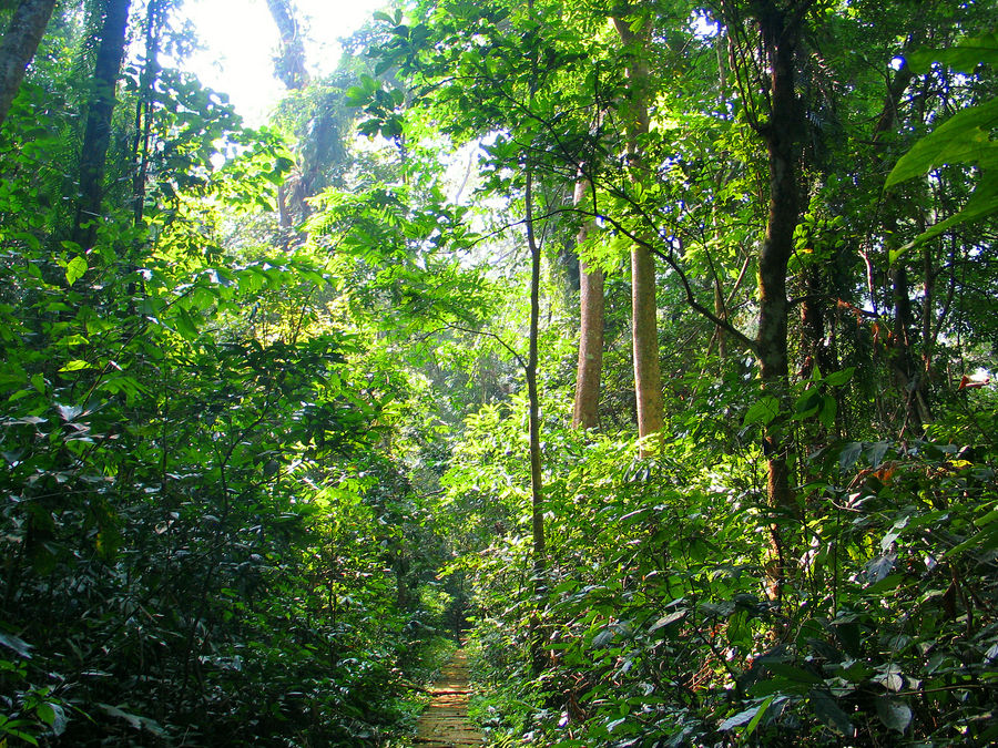 Nationalpark Cuc Phuong