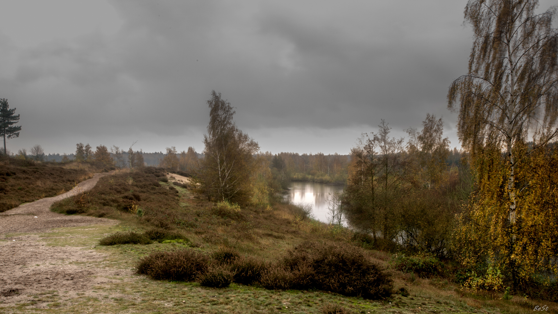 Nationalpark  De Maasduinen