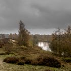 Nationalpark  De Maasduinen