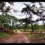 Nationalpark De Meinweg