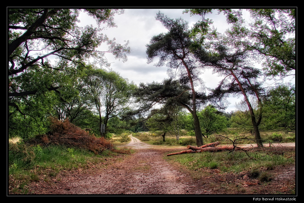 Nationalpark De Meinweg