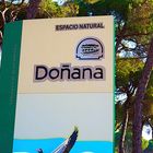 NATIONALPARK DOÑANA IN ANDALUSIEN