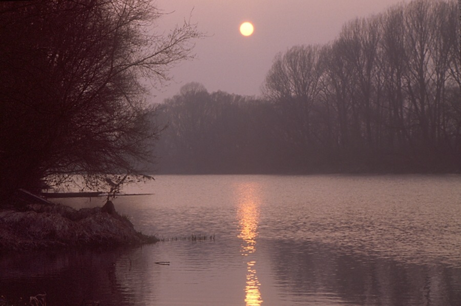 Nationalpark Donauauen