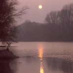 Nationalpark Donauauen