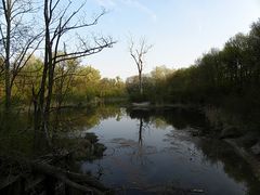 Nationalpark Donauauen