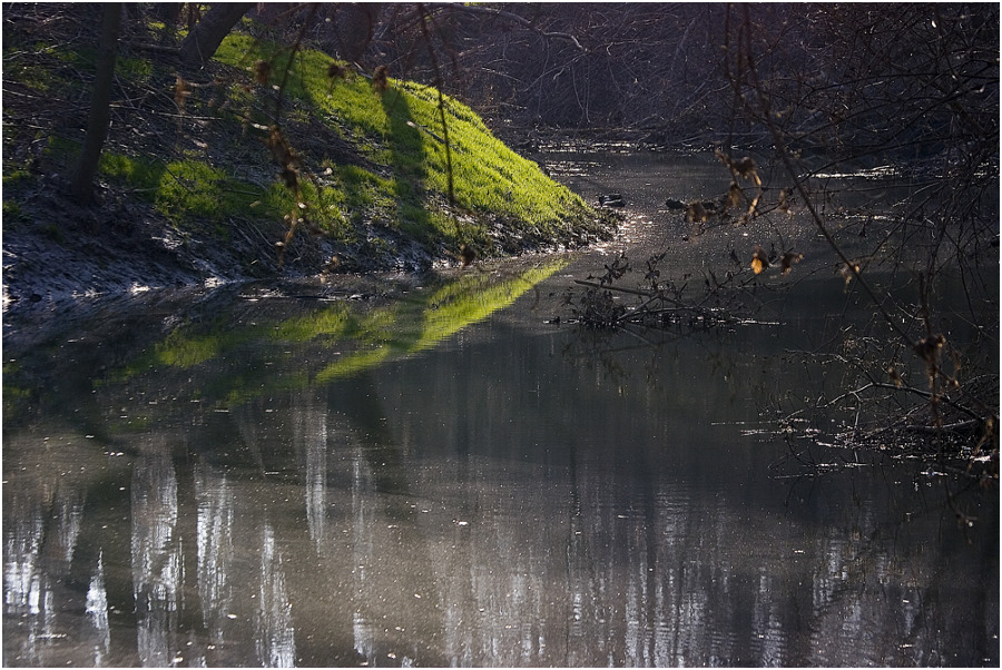 Nationalpark Donauauen #4