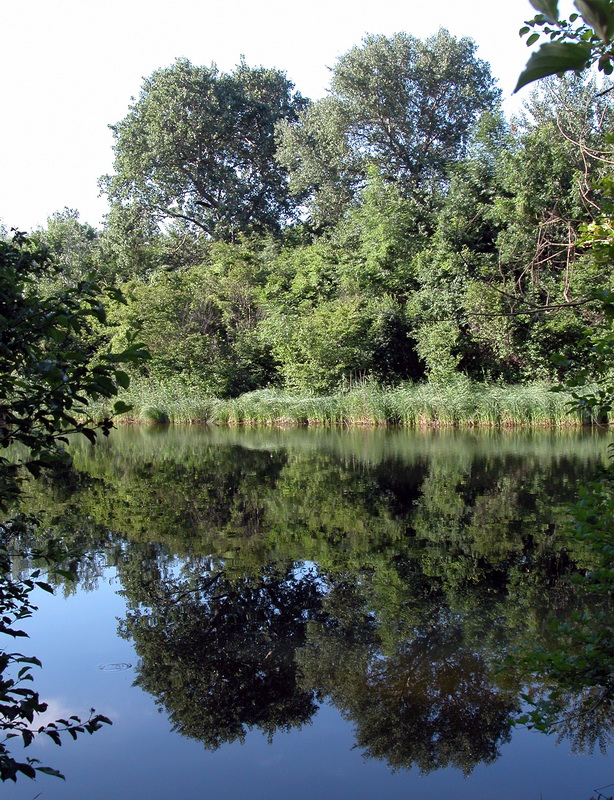 Nationalpark Donauauen
