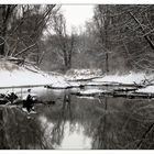 Nationalpark Donauauen, Austria