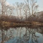 Nationalpark Donauauen Lobau...