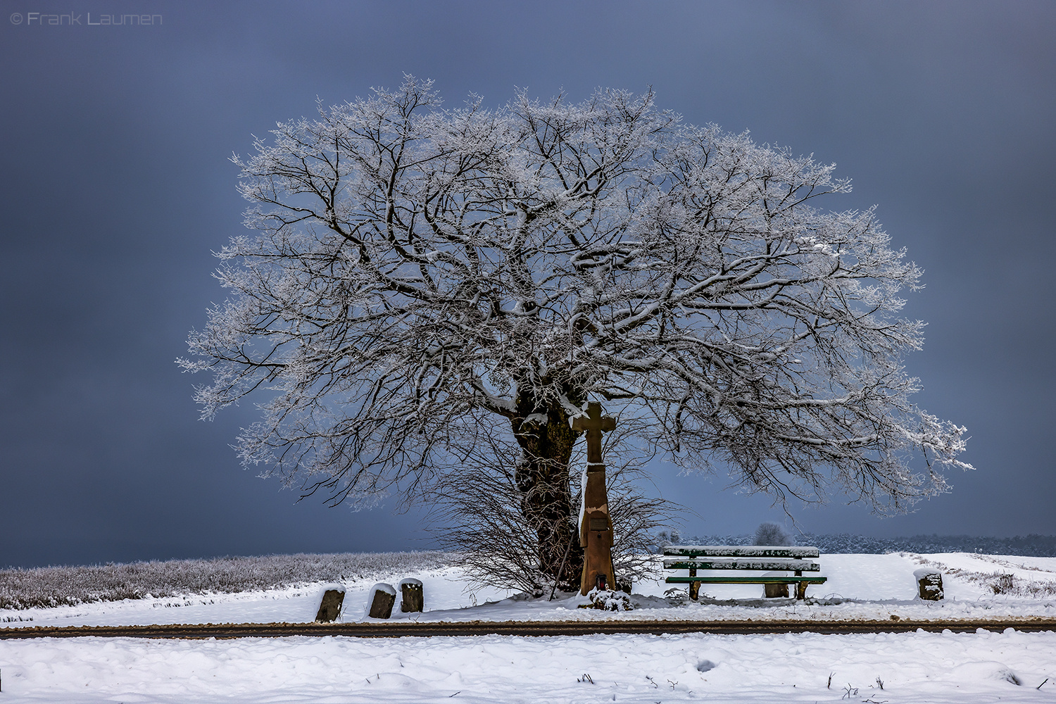 Nationalpark Eifel